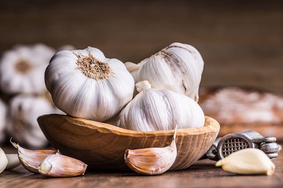 11 Proven Health Benefits of Garlic
