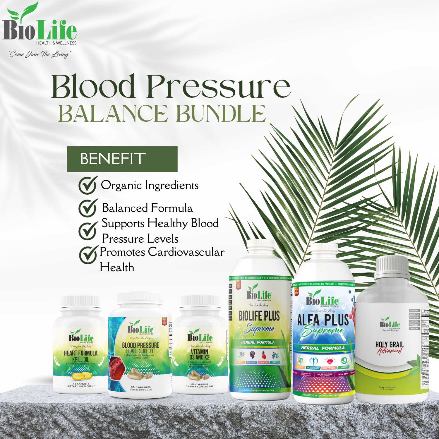 Blood Pressure Support